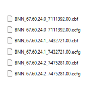 BNN ecfg files